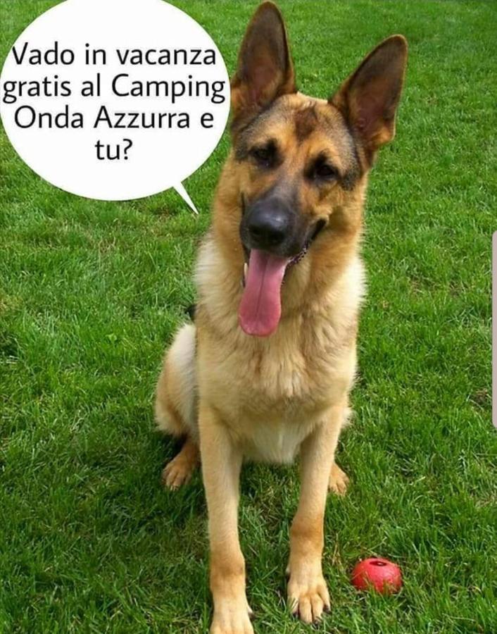 Отель Camping Onda Azzurra Ортона Экстерьер фото