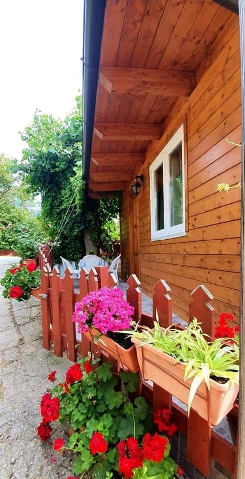 Отель Camping Onda Azzurra Ортона Экстерьер фото